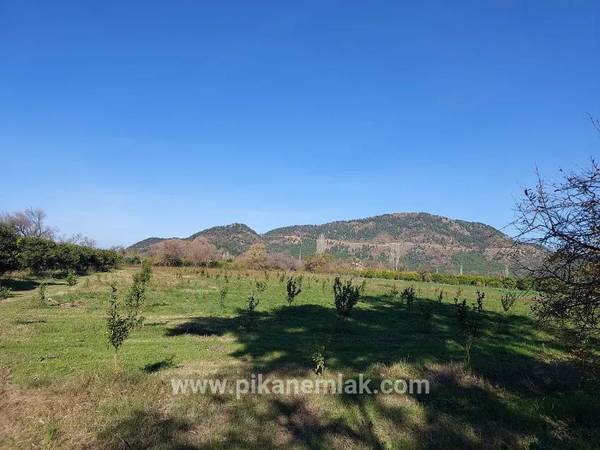 Land Zu verkaufen in Okçular Bz. Ortaca - Gehäuse-Zonierung - 1.000 m²