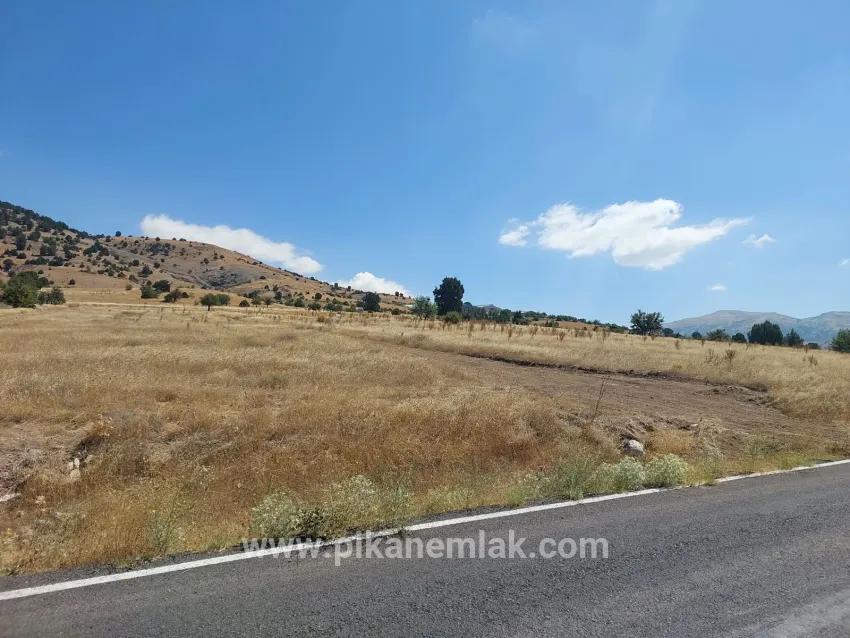 Feld Zu verkaufen in Yuva Köyü Bz. Tefenni Merkezköyler - Feld-Zonierung - 5.900 m²