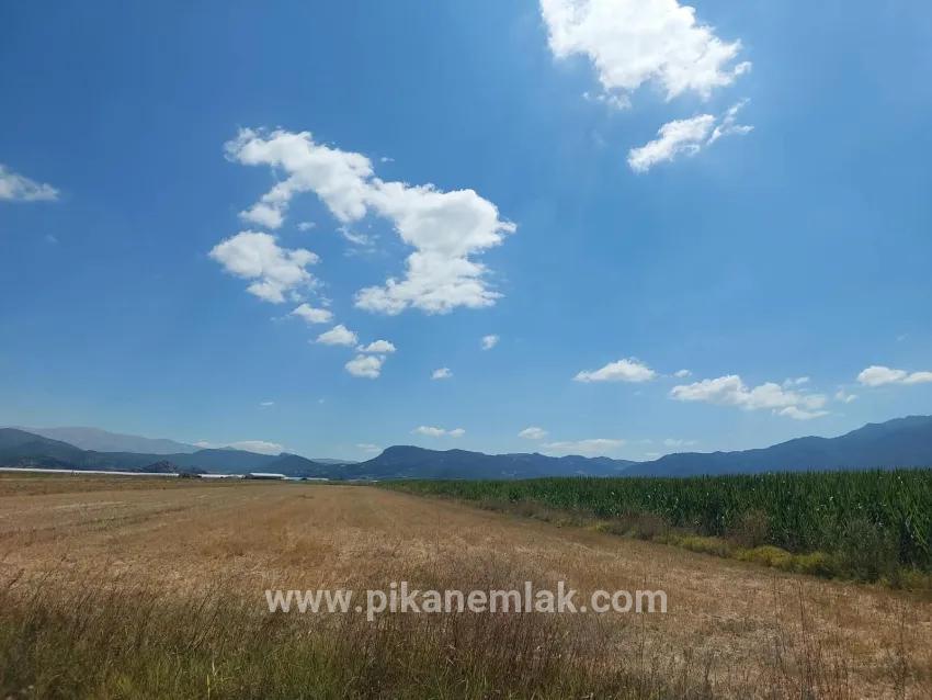 Feld Zu verkaufen in Yuva Köyü Bz. Tefenni Merkezköyler - Feld-Zonierung - 5.900 m²