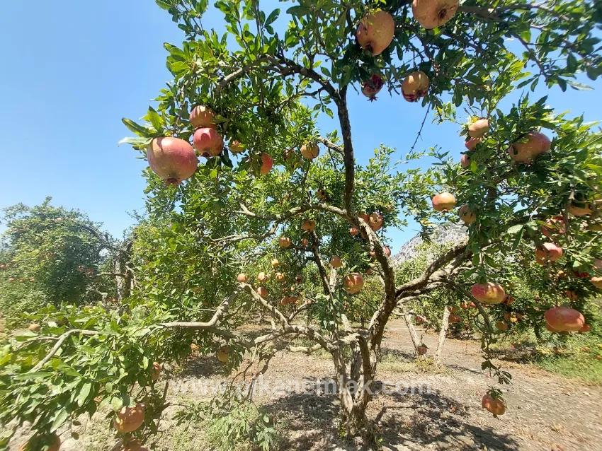 Feld Zu verkaufen in Dalyan Bz. Ortaca - Feld-Zonierung - 4.500 m²