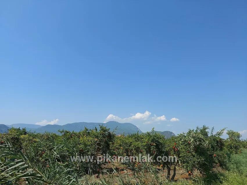 Feld Zu verkaufen in Dalyan Bz. Ortaca - Feld-Zonierung - 4.500 m²