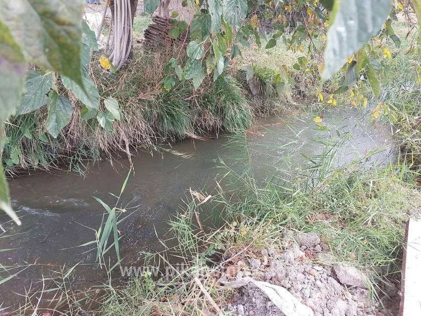 Feld Zu verkaufen in Dalyan Bz. Ortaca - Feld-Zonierung - 7.224 m²