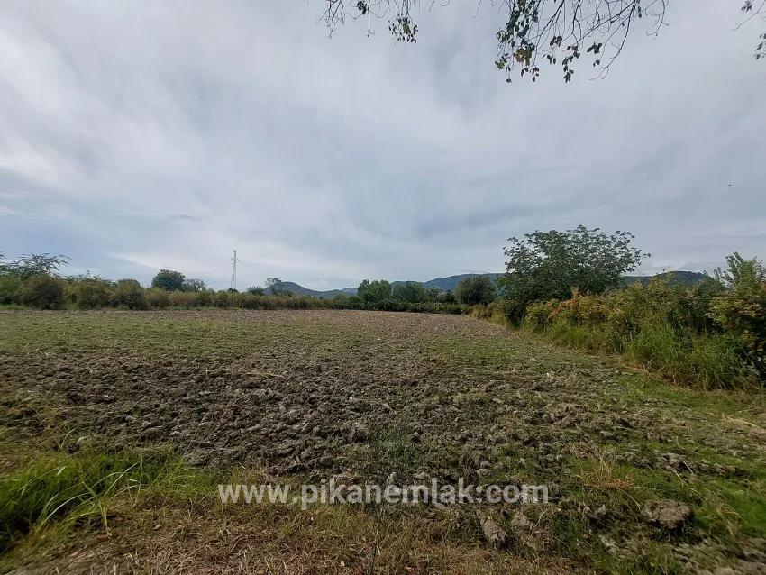 Feld Zu verkaufen in Dalyan Bz. Ortaca - Feld-Zonierung - 7.224 m²