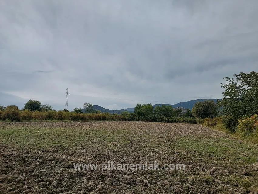 Feld Zu verkaufen in Dalyan Bz. Ortaca - Feld-Zonierung - 7.224 m²