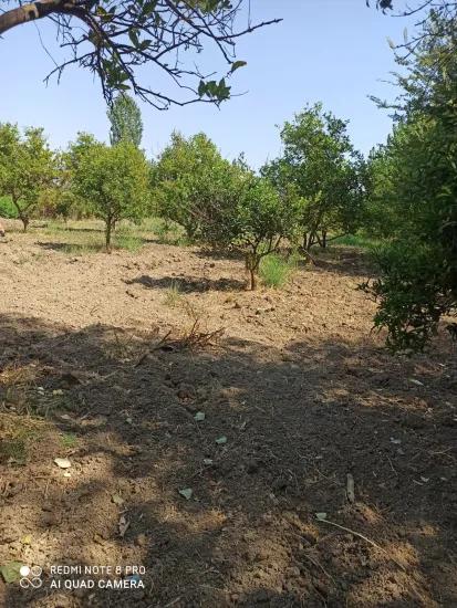 Feld zum Verkauf In der Köyceğiz Köyceğiz Nachbarschaft