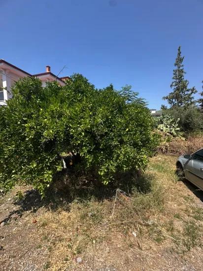 In Muğla Ortaca Çaylı Viertel, 353,61 M² freistehendes, eingetragenes Grundstück