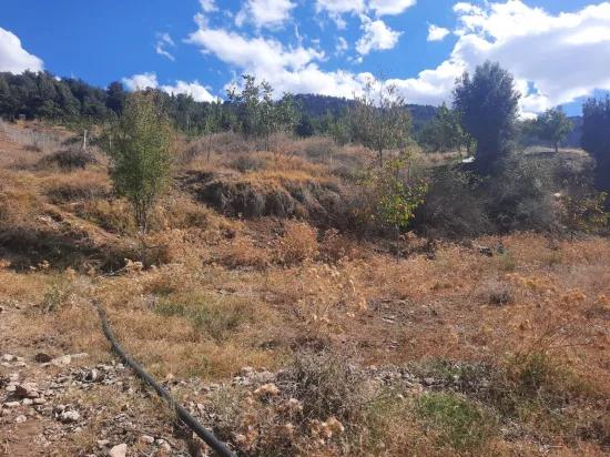 In Çameli Kızılyaka 5 000 M2 auf freistehendem Grundstück 2+1 Haus und 200 M2 Scheune zu verkaufen