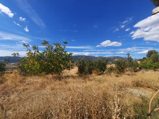 In Çameli Kızılyaka 5 000 M2 auf freistehendem Grundstück 2+1 Haus und 200 M2 Scheune zu verkaufen