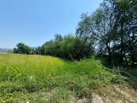 Muğla Ortaca In Dalyan 1563 M2, Hotel, Villa und Wohnung zum Bauen geeignet erschlossenes Grundstück zu verkaufen