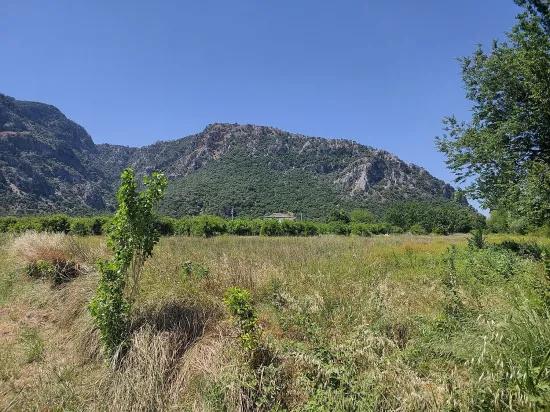 In Muğla Marmarlı 5 800 M2 Innerhalb des Bebauungsplans geeignet für Investitionen zum Verkauf stehendes Grundstück