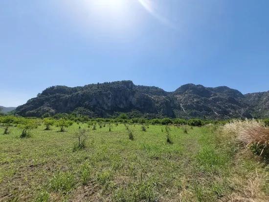 In Muğla Marmarlı 5 800 M2 Innerhalb des Bebauungsplans geeignet für Investitionen zum Verkauf stehendes Grundstück