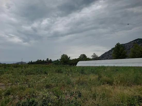 Muğla Dalyanda 3000 m2 Freistehend für Investitionen geeignetes Grundstück zu verkaufen