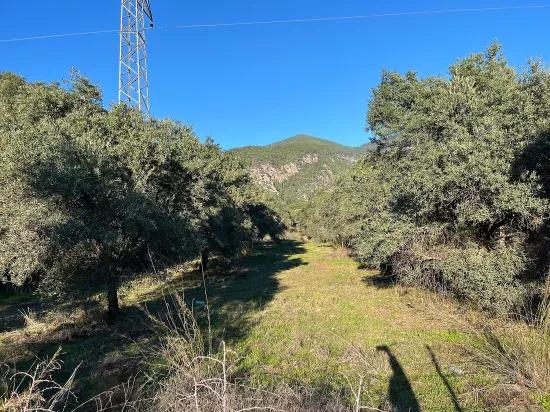 Köyceğiz, In Ekincik nahe dem Strand, Investitionsgeeignet 1.600 m2 Grundstück zu verkaufen