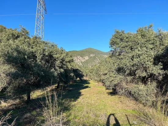Köyceğiz, In Ekincik nahe dem Strand, Investitionsgeeignet 1.600 m2 Grundstück zu verkaufen