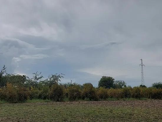In Dalyan, Muğla 7 224 m2 unabhängiges Feld zu verkaufen. Oder von Ortaca Wohnungstausch Ist möglich.