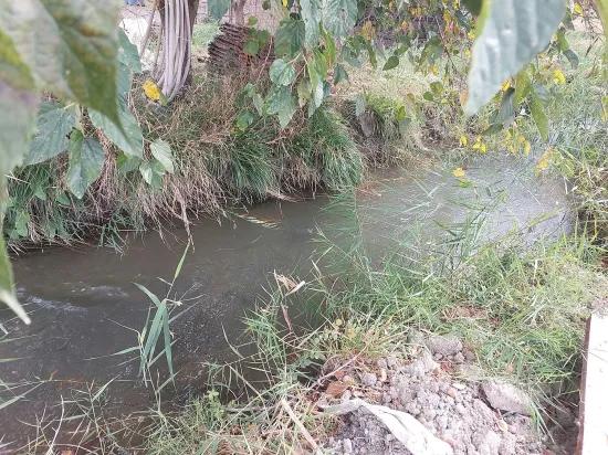 In Dalyan, Muğla 7 224 m2 unabhängiges Feld zu verkaufen. Oder von Ortaca Wohnungstausch Ist möglich.