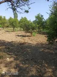 Feld Zu verkaufen in Köyceğiz Bz. Köyceğiz - Feld-Zonierung - 2.346 m²