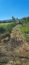 Feld Zu verkaufen in Köyceğiz Bz. Köyceğiz - Feld-Zonierung - 2.346 m²