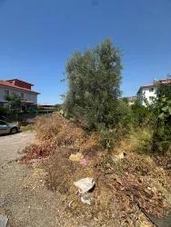 Land Zu verkaufen in Çaylı Bz. Ortaca - Gehäuse-Zonierung - 353 m²