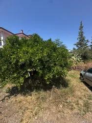 Land Zu verkaufen in Çaylı Bz. Ortaca - Gehäuse-Zonierung - 353 m²