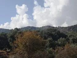 Feld Zu verkaufen in Fevziye Bz. Ortaca - Feld-Zonierung - 7.600 m²