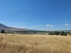 Feld Zu verkaufen in Yuva Köyü Bz. Tefenni Merkezköyler - Feld-Zonierung - 5.900 m²