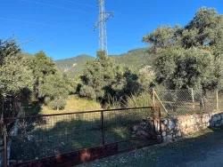 Feld Zu verkaufen in Ekincik Bz. Köyceğiz - Feld-Zonierung - 13.320 m²