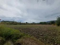 Feld Zu verkaufen in Dalyan Bz. Ortaca - Feld-Zonierung - 7.224 m²