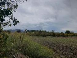 Feld Zu verkaufen in Dalyan Bz. Ortaca - Feld-Zonierung - 7.224 m²