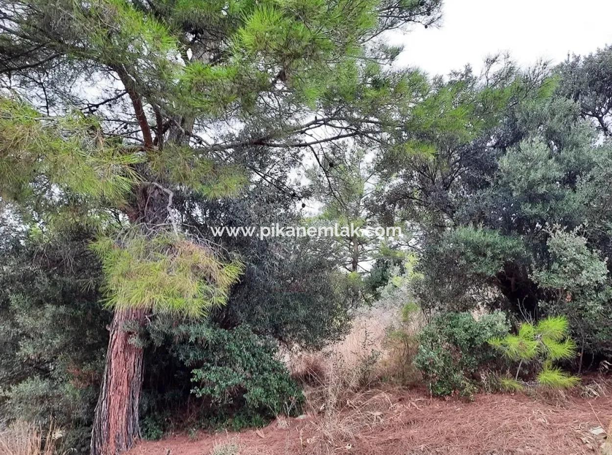 Plots Mit Meerblick Zum Verkauf In Sarigerme, Muğla