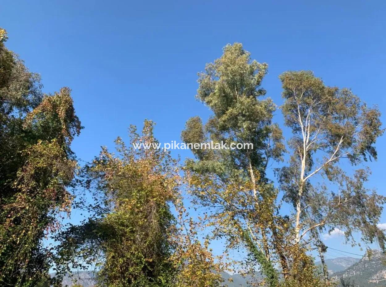 500 M2 Kelepir Land Zu Verkaufen In Köyce'inz Yangı