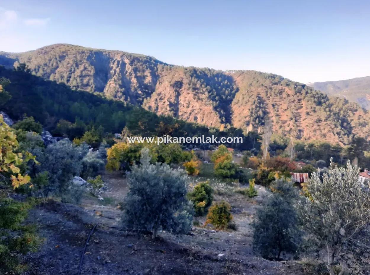 Mugla Dalaman Narli 1800 M2 Schnäppchen Land Zu Verkaufen