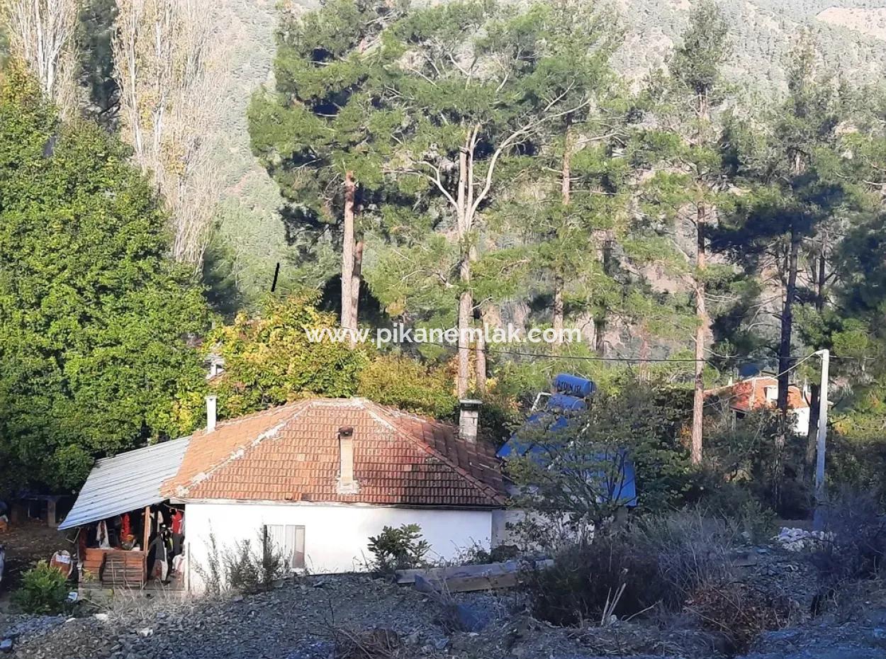 Mugla Dalaman Narli 1800 M2 Schnäppchen Land Zu Verkaufen