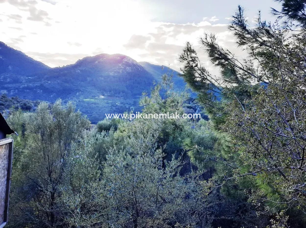 Mugla Dalyan Gokbel 1700 M2 Freistehendes Land Und Bungalow Mit Blick Auf Die Natur
