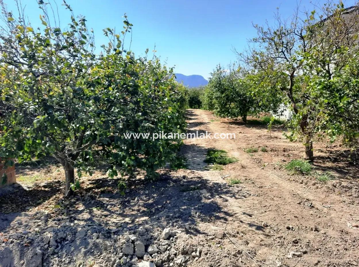 530 M2 Fläche Zum Verkauf In Mugla Ortaca Fevziye