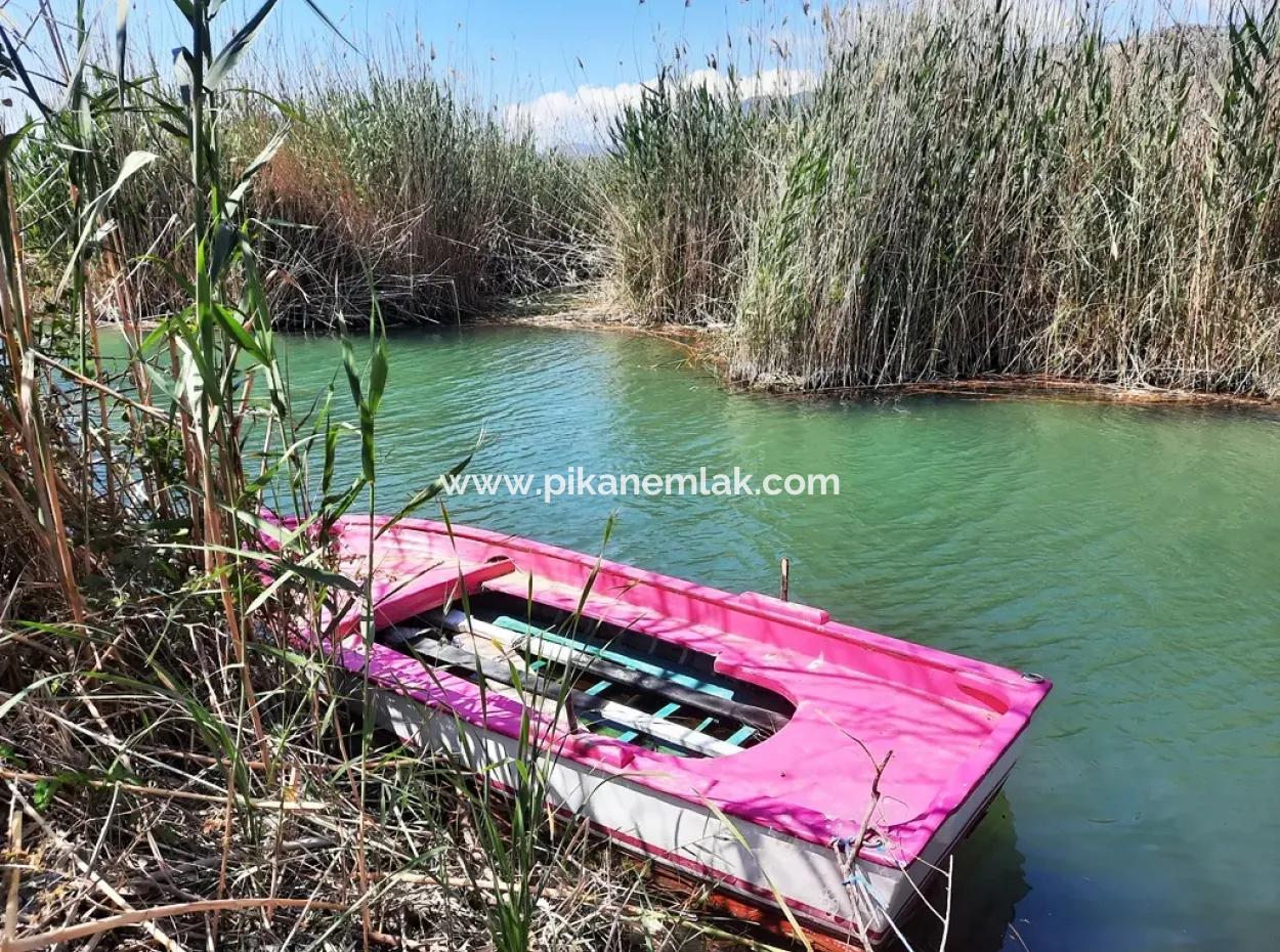 Mugla Dalyan Granatapfelgarten Geeignet Für Null Investition In Den Kanal Zu Verkaufen