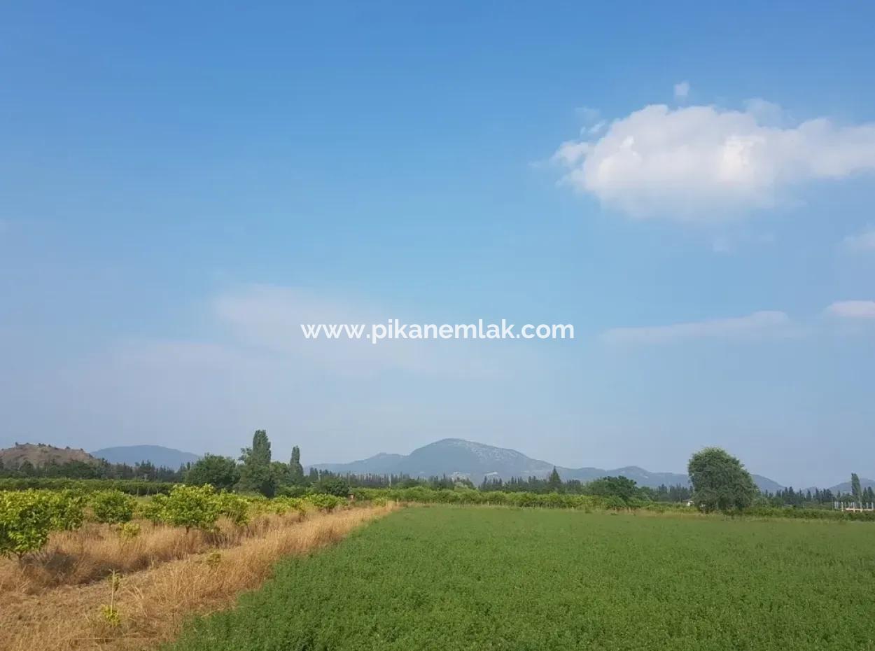 3700 M2 Fruchtbares Feld Zum Verkauf In Ortaca Fevziye
