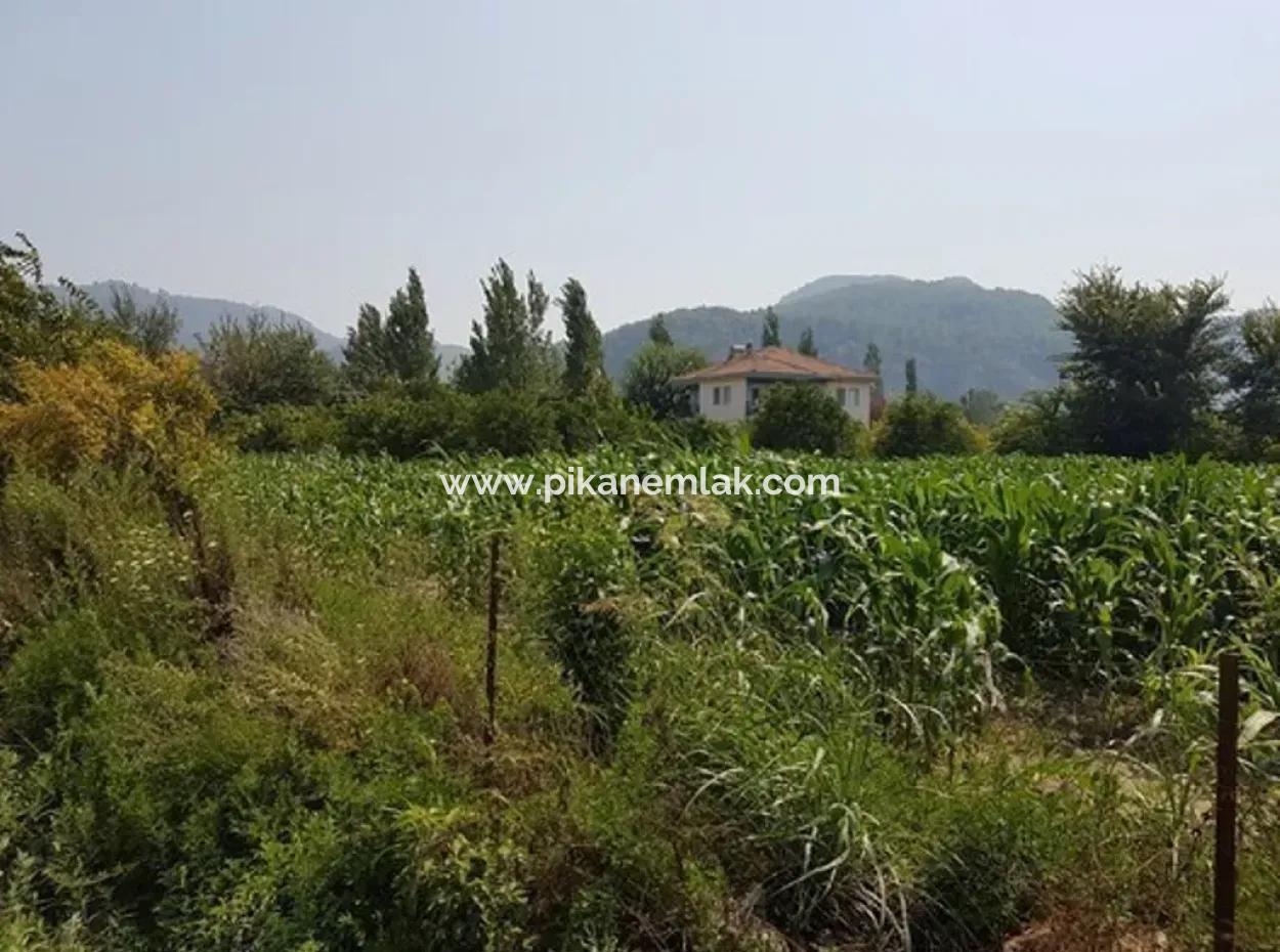 Freistehende 15000 M2 Fruchtbares Land Zum Verkauf In Mugla Ortaca Bogenschützen