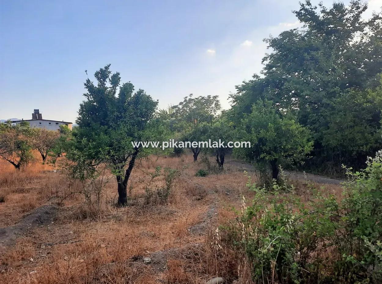 1080 M2 Flächen Zu Verkaufen In Köyceiz Toparlar