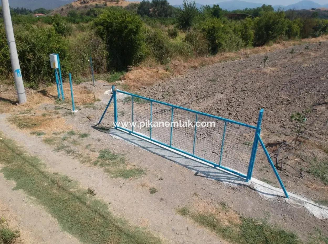 7300 M2 Zitronenfeld Zum Verkauf In Mugla Ortaca Tepearasi