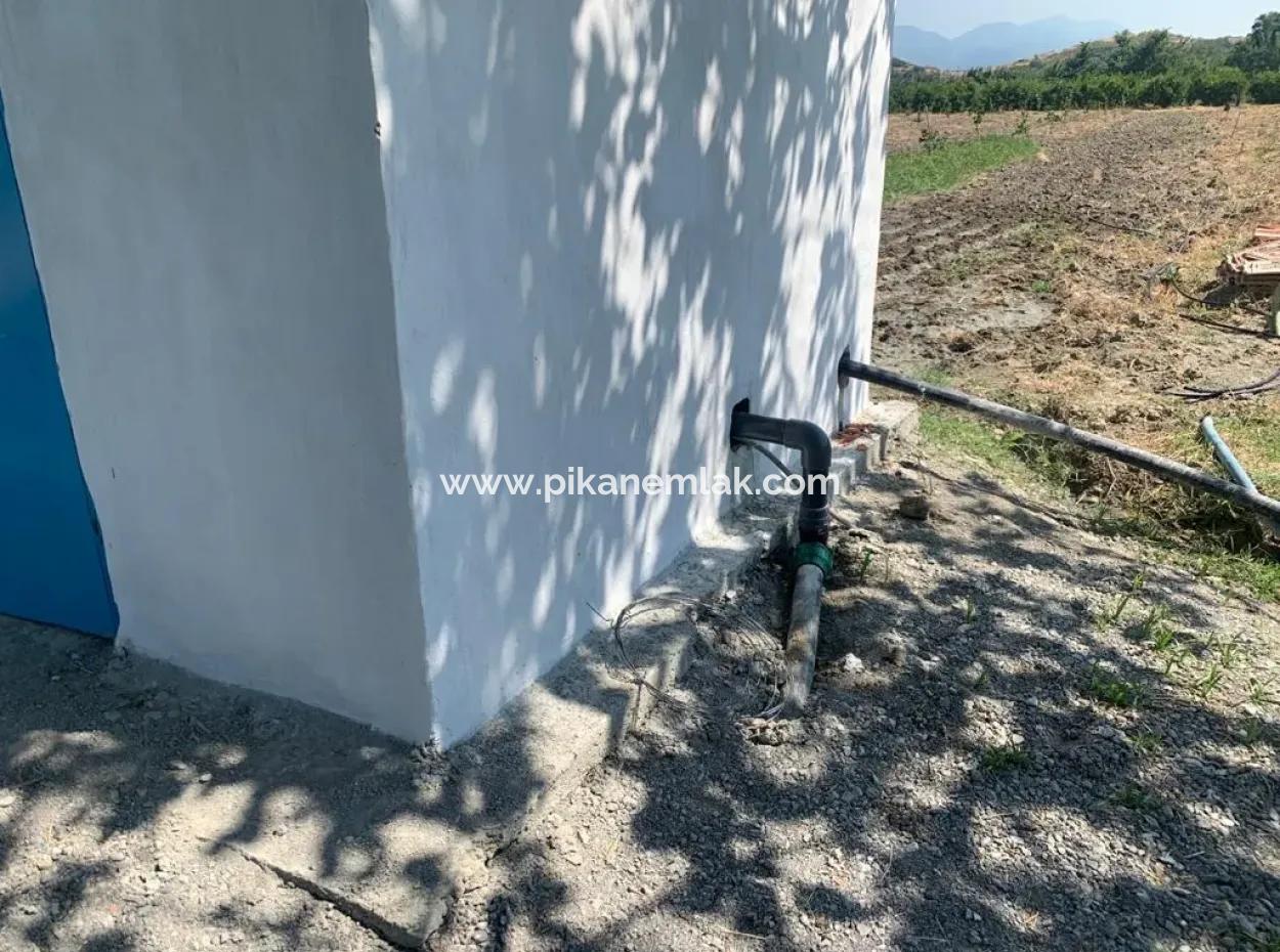 7300 M2 Zitronenfeld Zum Verkauf In Mugla Ortaca Tepearasi