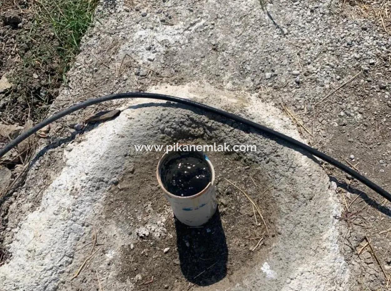 7300 M2 Zitronenfeld Zum Verkauf In Mugla Ortaca Tepearasi