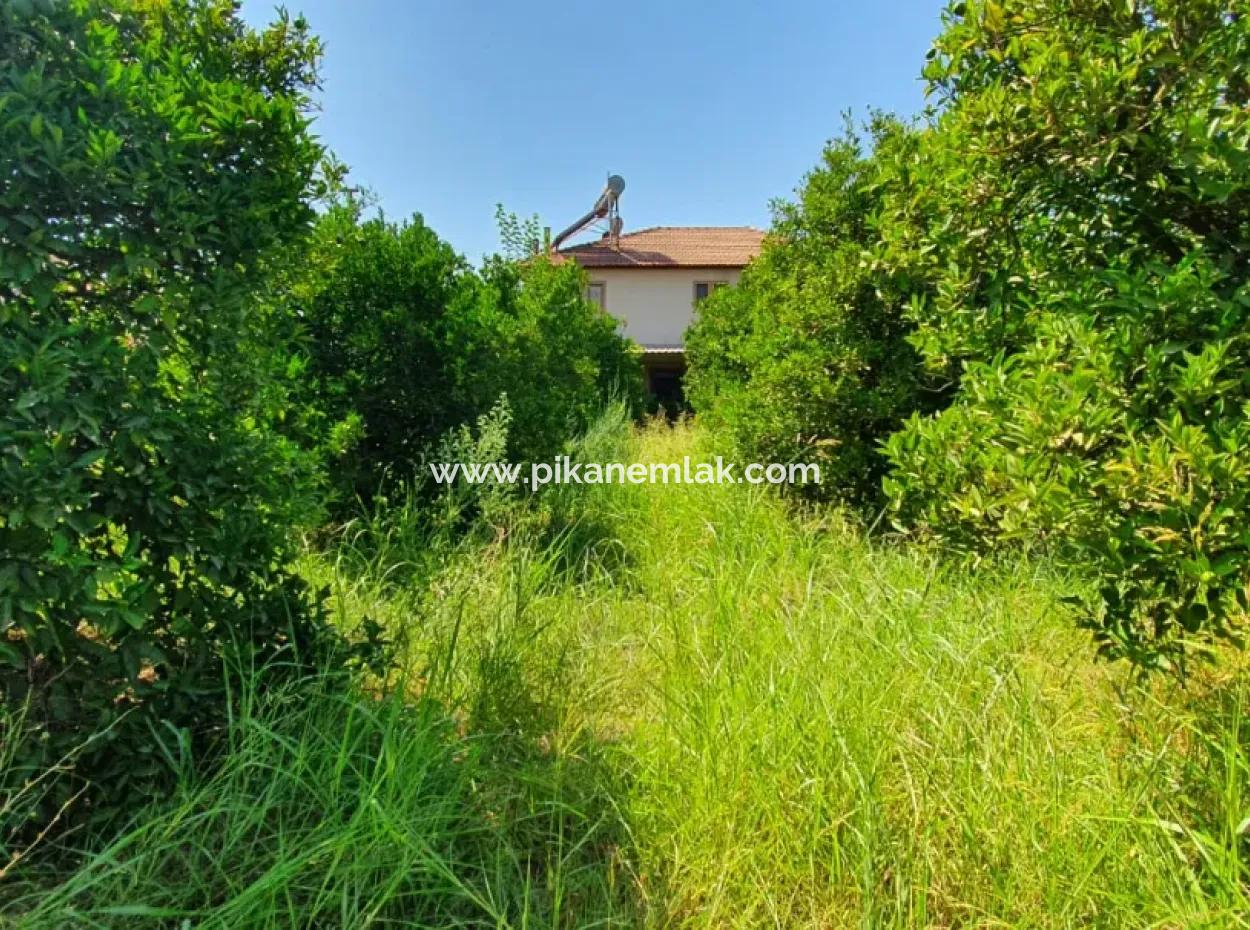 1063 M2 Zonierungsgrundstück Zum Verkauf In Mugla Ortaca Dikmekavak Nachbarschaft