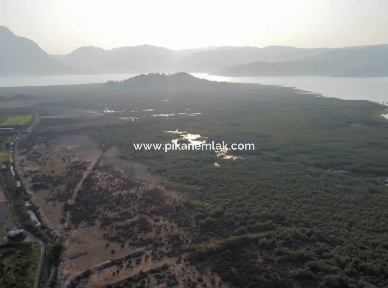Granatapfelgarten Zum Verkauf In Mugla Ortaca Tepearasi