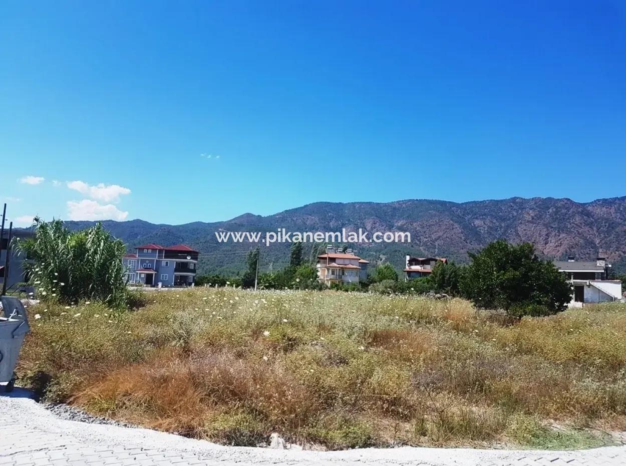 Mandarin Garten Zum Verkauf