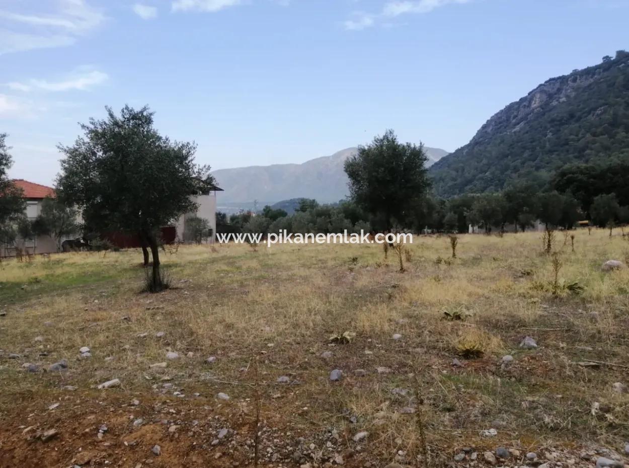 2788 M2 Feld Mit Seeblick Zu Verkaufen In Mugla Köyceğiz Zeytinalanı