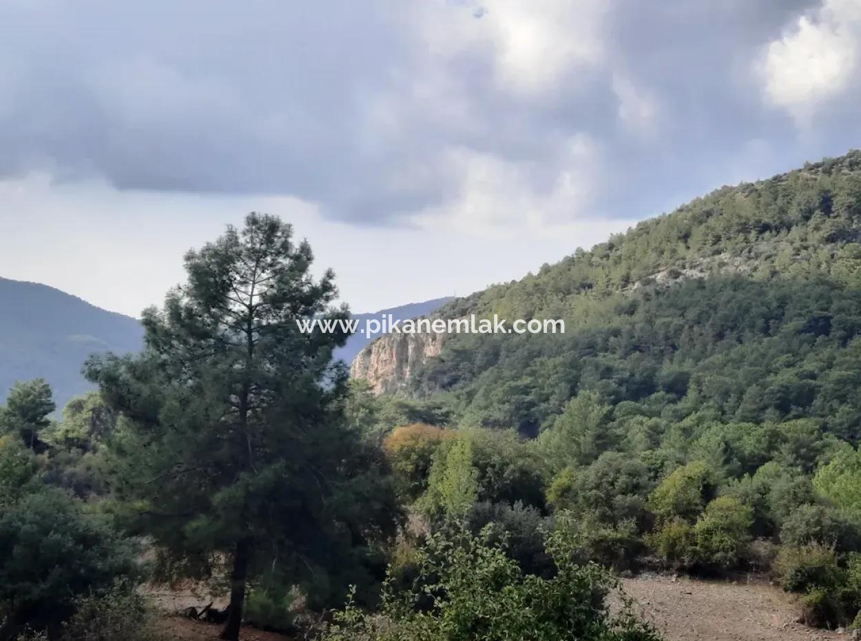 Mugla Dalyan Gökbel 320 M2 Schnäppchengrundstück Zum Verkauf