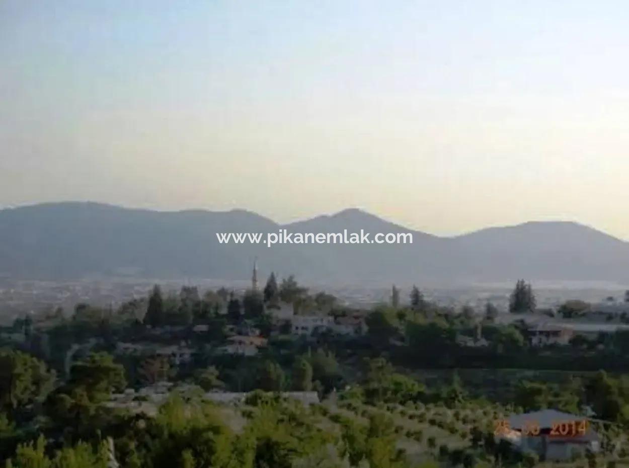 600 M2 Garten Mit Meerblick Zum Verkauf In Mugla Fethiye Eldirek