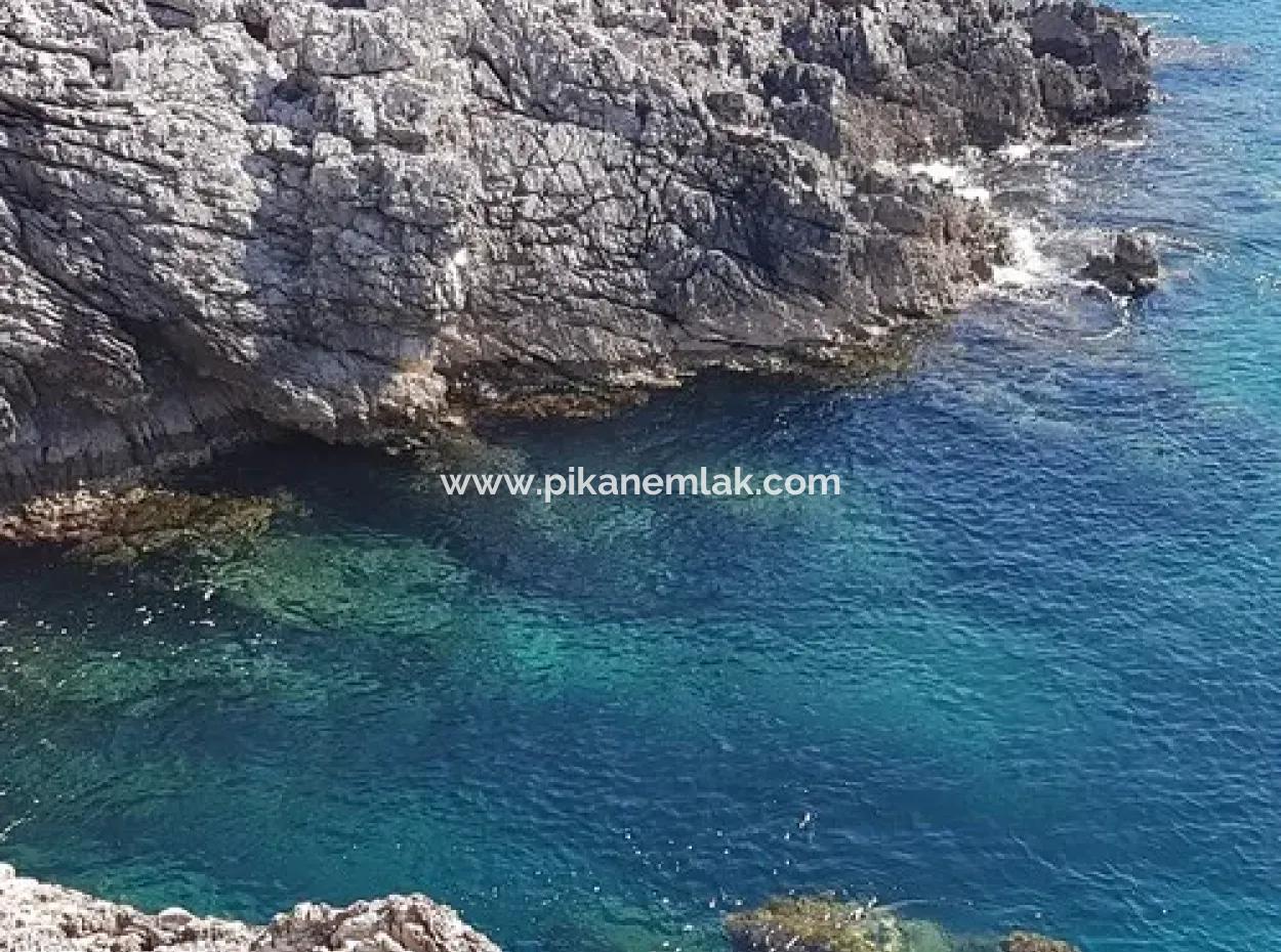 Dalyan, Gökbel De Meer Freistehend 1 300 M2 Olivenhain Zu Verkaufen