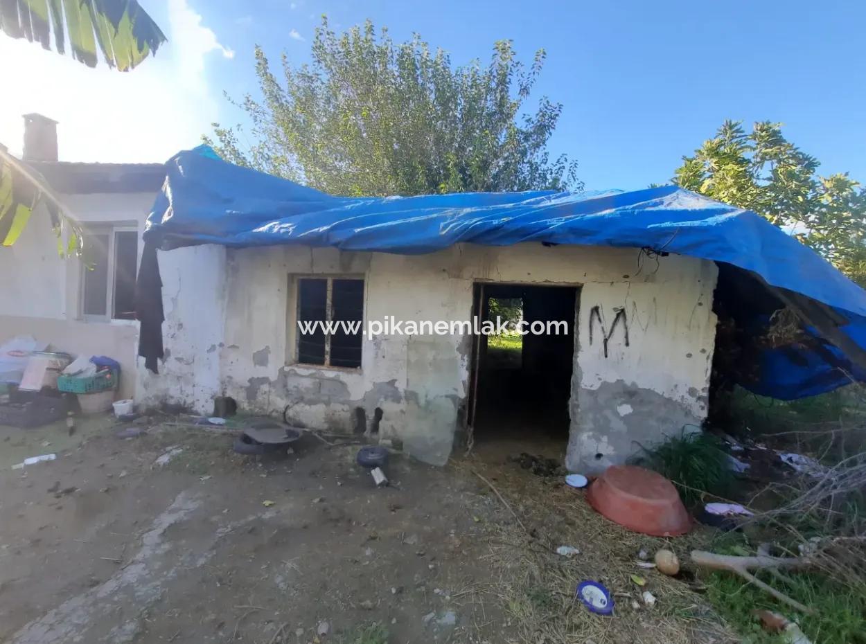 Ortaca Ekşiliyurt Geeignet Für Investitionen 11 850 M2 Zitronengarten Und 4 Gebäude Zum Verkauf